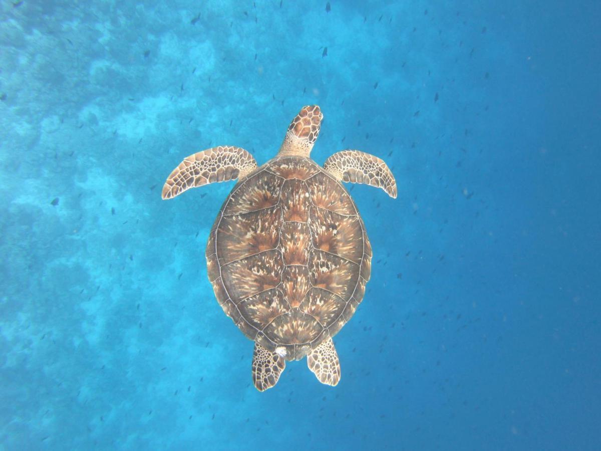 Hiraeth Island Home Guraidhoo  Bagian luar foto