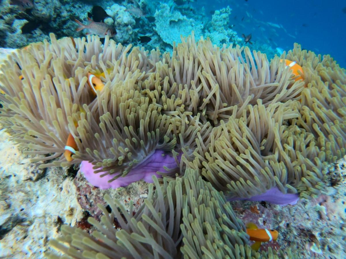 Hiraeth Island Home Guraidhoo  Bagian luar foto